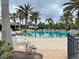 Community pool with plenty of lounge chairs and palm trees at 11692 Spotted Margay Ave, Venice, FL 34292