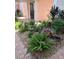 Landscaped walkway with tropical plants and rock at 1602 Gondola Park Dr # 1602, Venice, FL 34292
