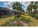 Lush backyard features covered lanai and palm trees at 18861 Bianchi St, Venice, FL 34293