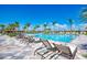 A community pool surrounded by palm trees and many lounge chairs at 18861 Bianchi St, Venice, FL 34293