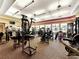 Spacious fitness center features modern equipment, ceiling fans, and large windows with scenic views at 18861 Bianchi St, Venice, FL 34293