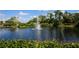Scenic pond view with a fountain and lush landscaping for a serene setting at 357 Marsh Creek Rd, Venice, FL 34292