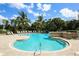 Beautiful community pool featuring palm trees, plenty of lounge chairs, and a lovely water feature at 357 Marsh Creek Rd, Venice, FL 34292