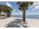 Palm trees and sandy beach with water views at 4251 Oak Terrace Cir, Port Charlotte, FL 33953