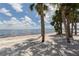 Sandy beach with palm trees and calm water views at 4251 Oak Terrace Cir, Port Charlotte, FL 33953