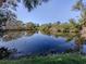 Scenic view of a tranquil pond surrounded by lush trees and natural vegetation at 1093 Laurel Woods Dr, Nokomis, FL 34275