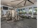 Community gym featuring modern exercise equipment and natural light from large windows at 11903 Alessandro Ln, Venice, FL 34293