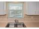 Kitchen sink offers natural light and a view of the backyard at 1600 Lilliput Ct, Venice, FL 34293