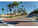 Palm tree-lined street view with well-maintained sidewalks and landscaping at 174 Southampton S Pl # 345, Venice, FL 34293