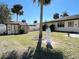 Beautiful backyard with a shed, angel statue, mature palm tree, and lush green lawn at 4052 Holin Ln, North Port, FL 34287