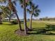 Scenic view of a lush green golf course with palm trees at 595 Back Nine Dr, Venice, FL 34285