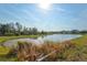 Scenic view of the community pond surrounded by lush greenery under a bright, sunny sky at 6341 Milestone Loop, Palmetto, FL 34221