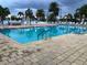 Sparkling community swimming pool surrounded by lounge chairs and palm trees at 749 N Green Cir, Venice, FL 34285