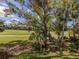 Picturesque view of the lush golf course from the property at 805 Montrose Dr # 203, Venice, FL 34293