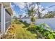 Lush backyard with a green lawn, vibrant plants, a white fence, and a screened-in patio at 1181 Southland Rd, Venice, FL 34293