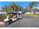 Golf carts parked near the golf course, surrounded by palm trees and lush greenery at 1298 Highland Greens Dr, Venice, FL 34285