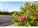 Close-up of a blooming pink flower bush with lush green foliage at 1298 Highland Greens Dr, Venice, FL 34285