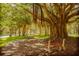 Picturesque park scene featuring benches under a large tree, perfect for relaxation and enjoying nature at 1572 Jasper Ct, Venice, FL 34292