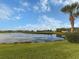 Scenic view of a tranquil lake, with a palm tree and lush green grass at 1572 Jasper Ct, Venice, FL 34292
