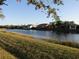 Scenic view of a tranquil pond surrounded by lush greenery and various homes at 1904 Canary Island St, Venice, FL 34292