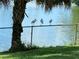 A serene lake view from the backyard, with a flock of birds perched along the chain-link fence at 424 Shade Ter, Venice, FL 34293