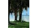 Backyard overlooking the lake with birds gathered near the fence and under the shade of the palm trees at 424 Shade Ter, Venice, FL 34293