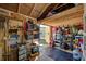 Organized shed interior with shelves, storage bins, and assorted tools and equipment on display at 6665 Keystone Ct, North Port, FL 34287