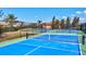 Community pickleball courts featuring blue surfaces and black fencing, perfect for active residents and social gatherings at 351 Carlino Dr, Nokomis, FL 34275