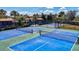 Beautiful pickleball courts with blue surface and black fencing amid lush landscaping, offering a vibrant recreational space at 351 Carlino Dr, Nokomis, FL 34275