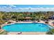 Beautiful pool with a scenic view of the palm trees, open skies, and community at 351 Carlino Dr, Nokomis, FL 34275