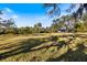 Expansive backyard featuring lush green grass and mature trees, creating a private outdoor space at 1358 Ewing St, Nokomis, FL 34275