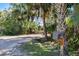 Neighborhood street view with a mailbox surrounded by lush landscaping and a tranquil atmosphere at 1358 Ewing St, Nokomis, FL 34275