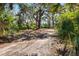 View of the property lined with trees and greenery, highlighting the natural surroundings at 1358 Ewing St, Nokomis, FL 34275