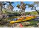 A yellow kayak rests along the bank of the river, providing direct access to the water at 1358 Ewing St, Nokomis, FL 34275