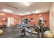 Well-equipped fitness center with treadmills, weights, and exercise machines for resident use at 3351 Ramblewood Ct # 3351, Sarasota, FL 34237