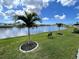 Backyard with palm tree, a bench and tranquil water views at 473 Sharks Pt, North Port, FL 34287