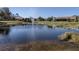 Community pond with a water feature surrounded by well-maintained landscaping at 5071 Winter Rose Way, Venice, FL 34293