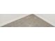 Grey wall-to-wall carpet at 14037 Crutchfield Ct, Parrish, FL 34219