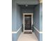 Inviting front door entrance with dark-colored door and flanking planters at 1570 Fox Grape Loop, Lutz, FL 33558