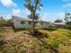 Large backyard with a spacious grassy area at 11397 86Th Ave, Seminole, FL 33772