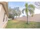 Landscaped backyard with a tall palm tree and a privacy wall at 12908 Cattail Shore Ln, Riverview, FL 33579