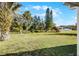 Large grassy backyard with palm trees and lush greenery at 7939 Riverdale Dr, New Port Richey, FL 34653