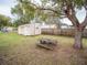 Backyard with shed, picnic table, and large tree at 38906 North Ave, Zephyrhills, FL 33542