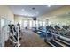 Community fitness center with cardio and weights at 10412 Villa View Cir, Tampa, FL 33647