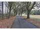 Long driveway leading to a charming white farmhouse at 6936 Handcart Rd, Wesley Chapel, FL 33545