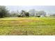 Large grassy backyard with storage shed at 2105 Vickery Ln, Dover, FL 33527