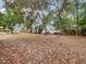 Large backyard with mature trees and leaf covered ground at 2044 27Th W Ave, Bradenton, FL 34205