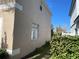 Side of house with tan exterior, a window, and landscaping at 25737 Frith St, Land O Lakes, FL 34639