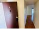 Condo entryway with brown door and view into living area at 5504 Pokeweed Ct # 154, Tampa, FL 33617