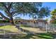 Ranch style home with mature tree and white fence at 103 Shore Dr, Dunedin, FL 34698